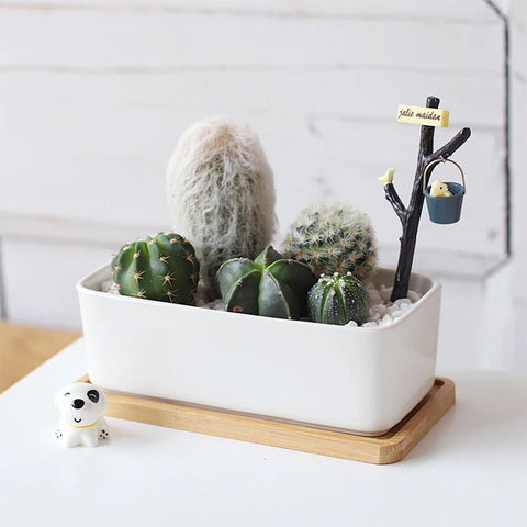 Bamboo Planter Saucer Trays